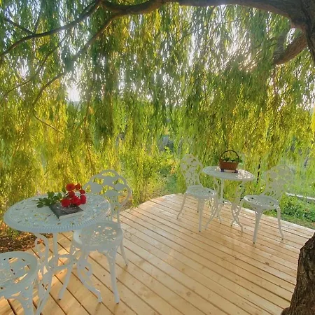 Casa De Vacanta Madalina Guest house Novaci-Straini